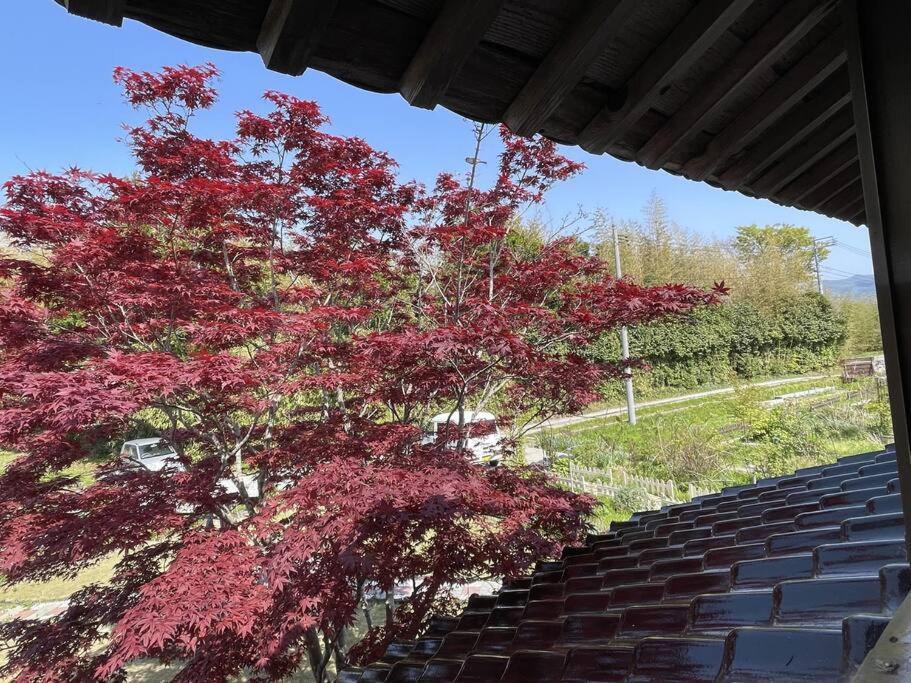 Villa ガーデンハウス道楽亭 Sado Exterior foto